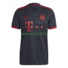 Maillot de Supporter FC Bayern Munich Muller 25 Troisième 2022-23 Pour Homme